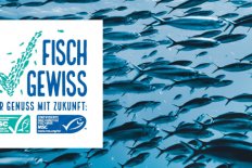 MSC-Woche in Erlangen